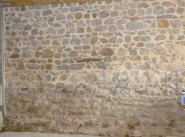Immerapartment Saint Forgeux