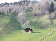 Immobilie Le Grand Bornand
